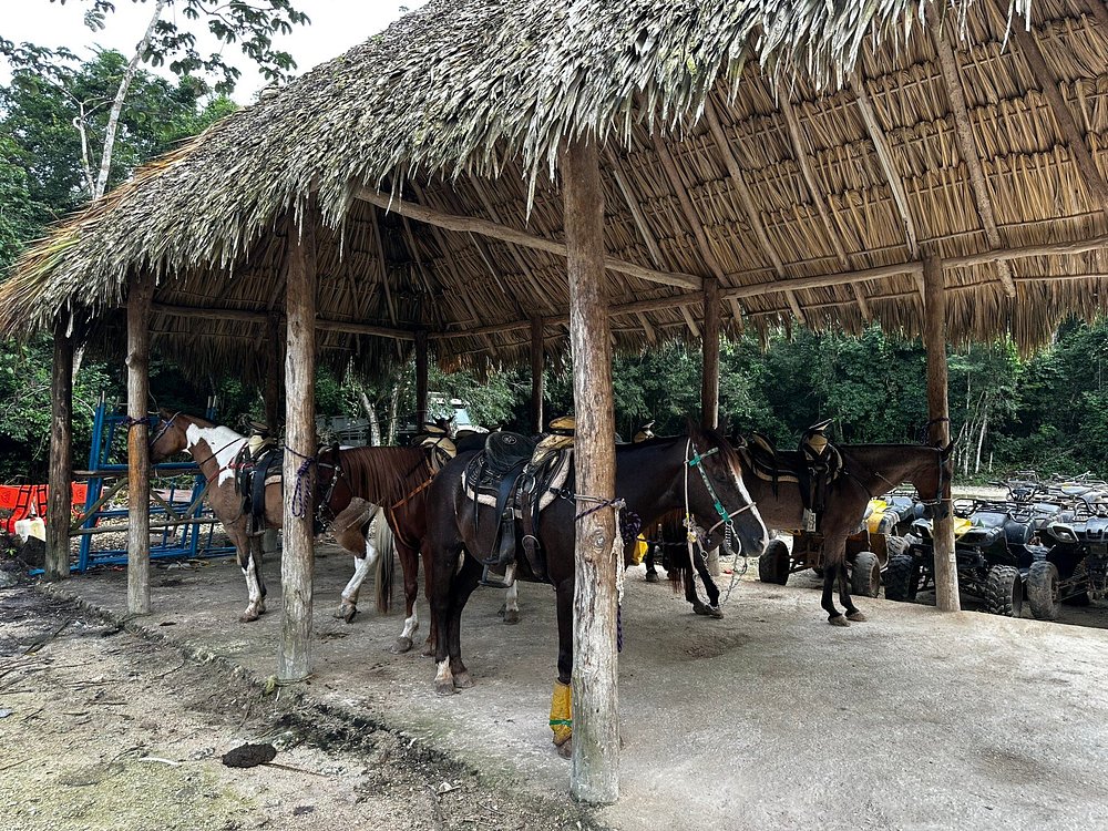 Full Experience | ATV, Caballos, Tirolesas y Cenote