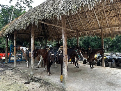 Full Experience | ATV, Caballos, Tirolesas y Cenote